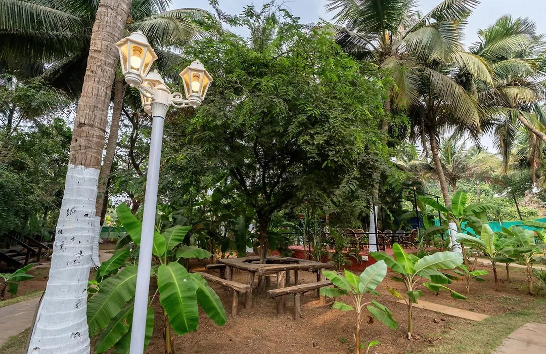 The Exotica Agonda-1