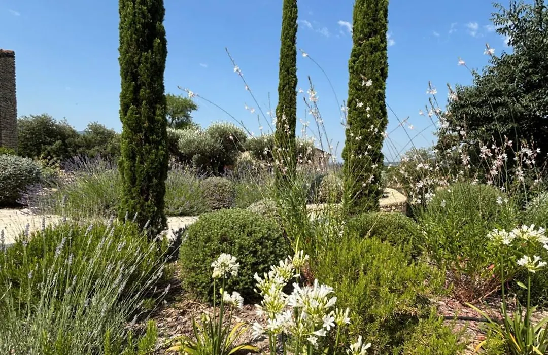 Le jardin suspendu-1