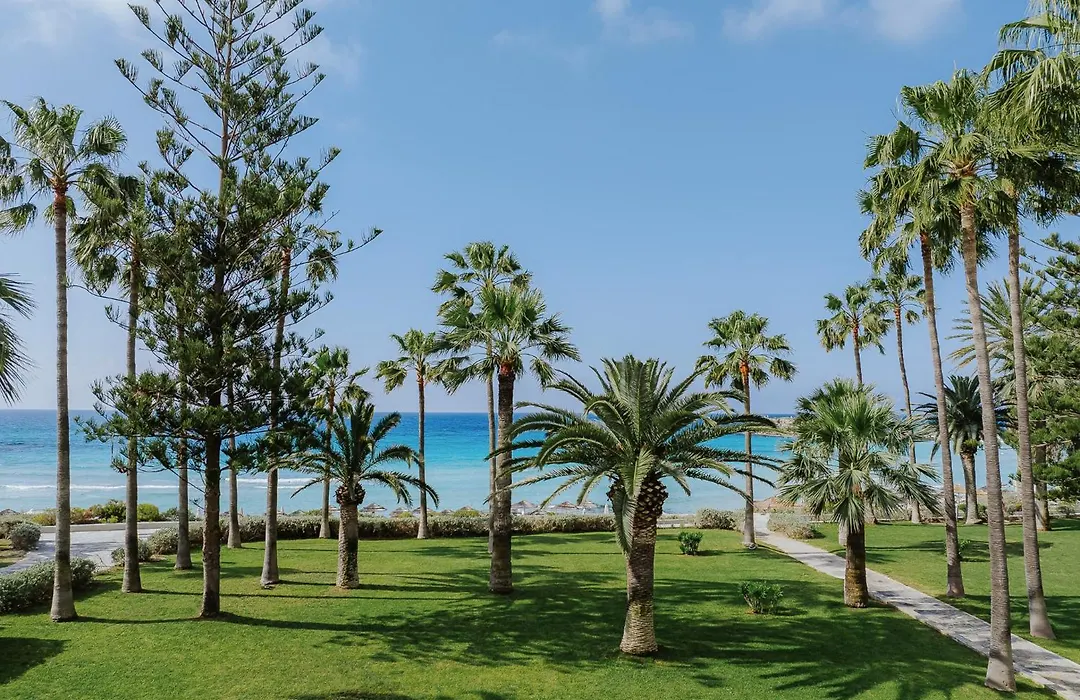 Nissi Beach Resort-1