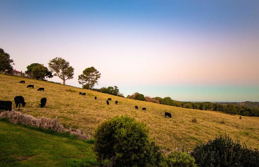 Alstonville Country Cottages-1