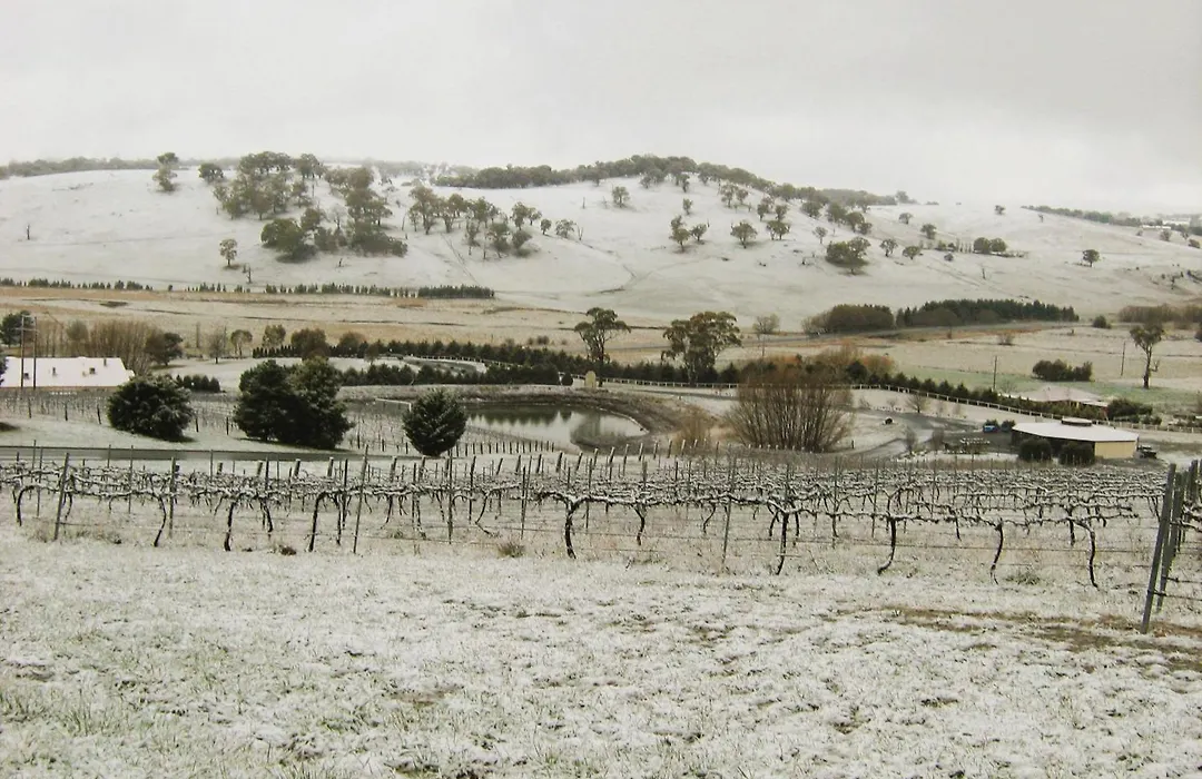 Turners Vineyard Motel-1