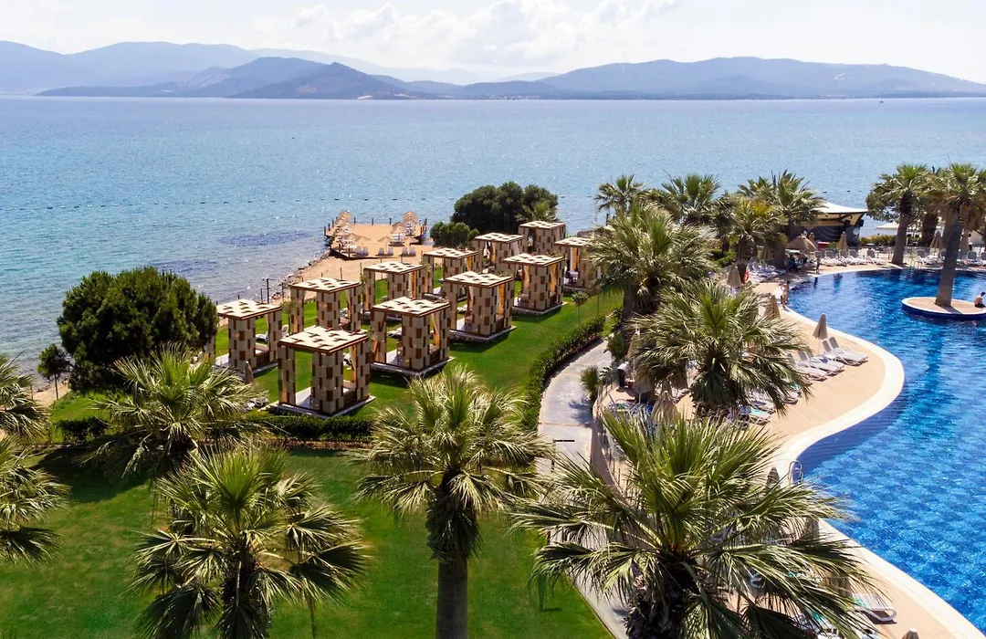 Duja Didim-1
