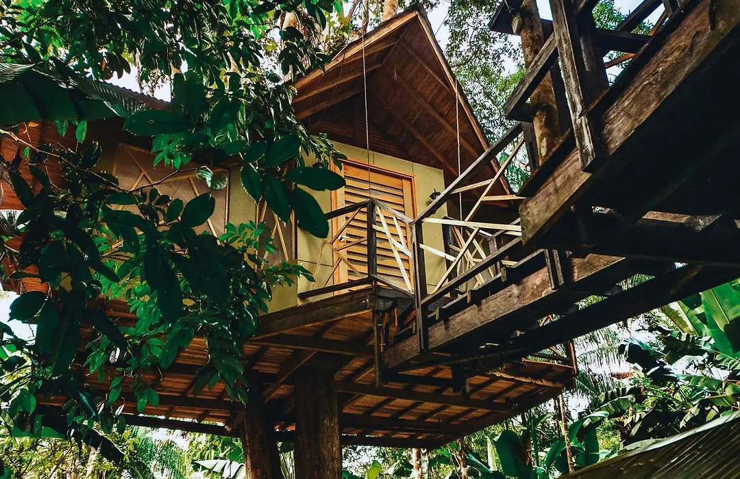 Buru Nature Hotel-1