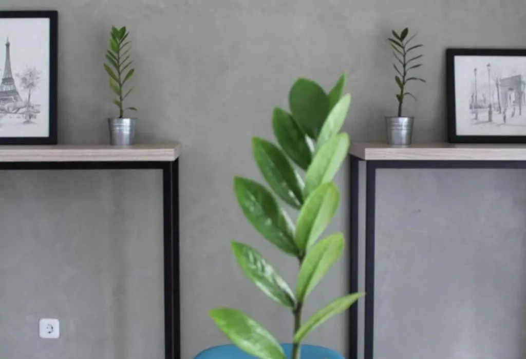 Casa Living Setiabudi Jakarta-1
