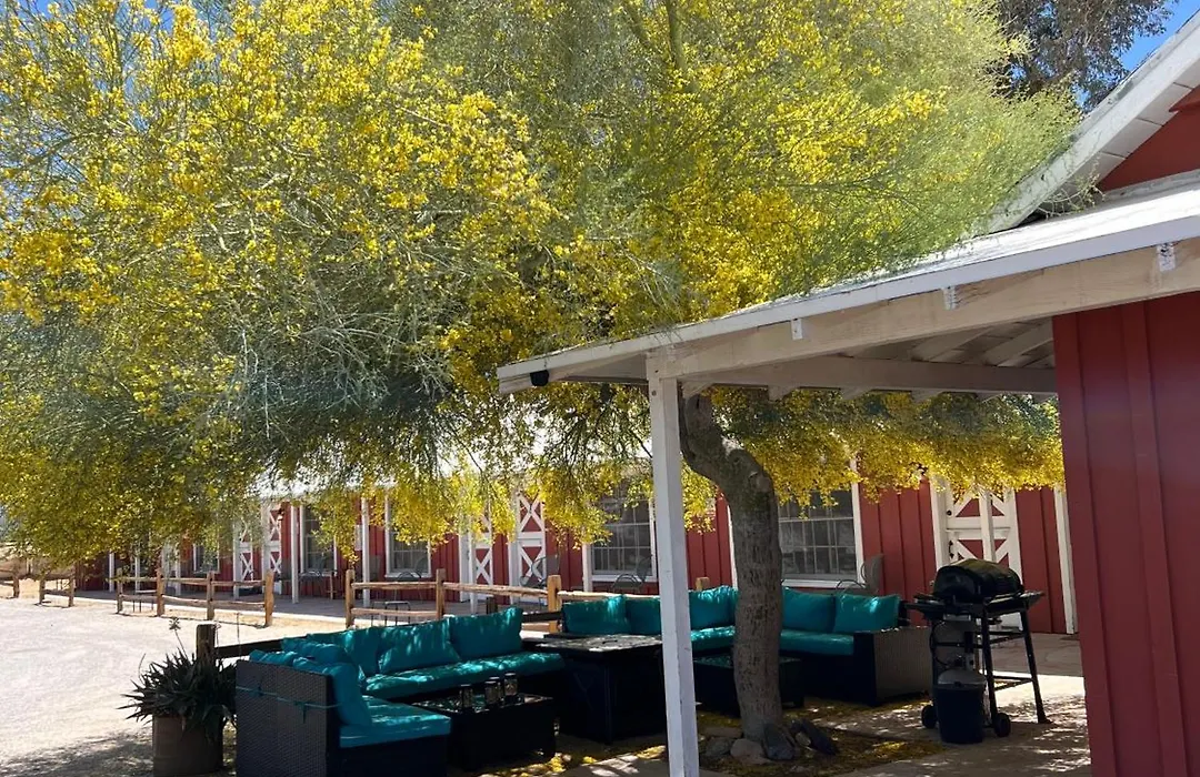Room 6 - Downtown Joshua Tree Motel - Pet Friendly - Walk To Shops & Visitor Center, Minutes To Park Entrance-1
