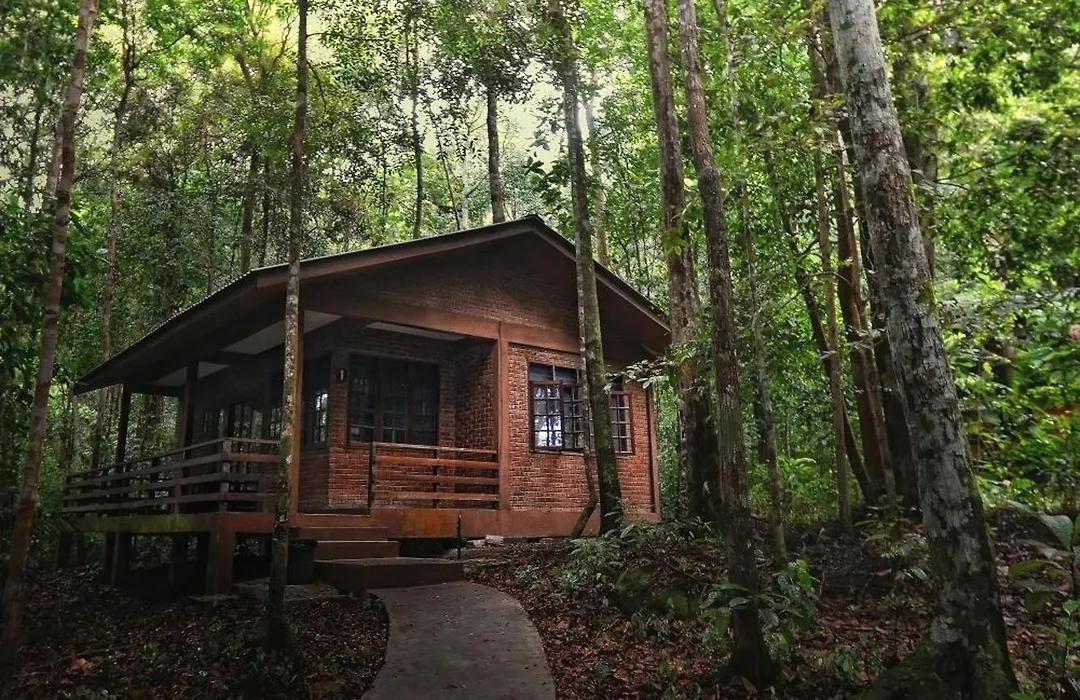 Permai Rainforest Resort-1