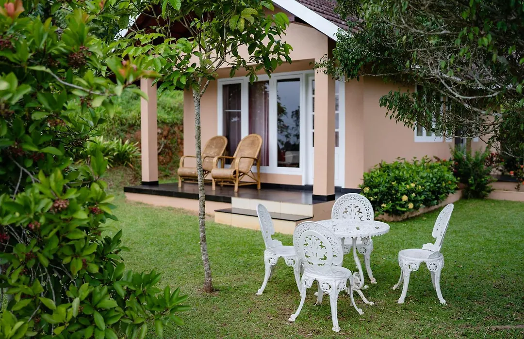 After The Rains - Rainforest Lodge, Wayanad-1