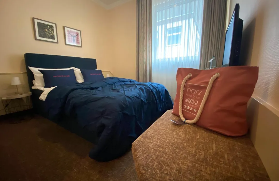 Harz Hotel & Spa Seela-1