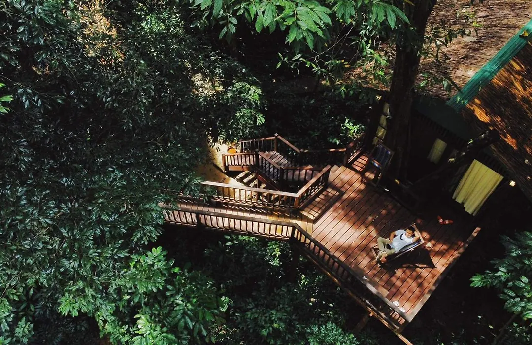 Our Jungle House-1