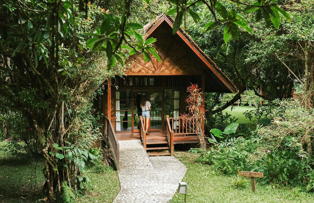 Our Jungle House-1