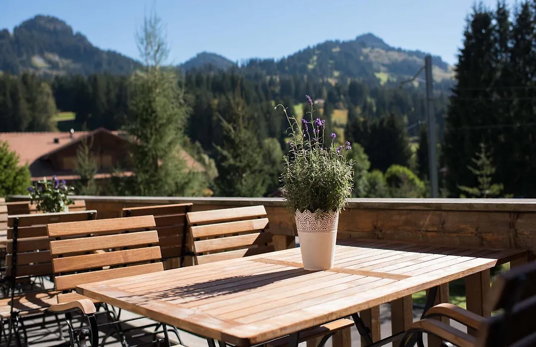 Hotel Des Alpes Superieur-1