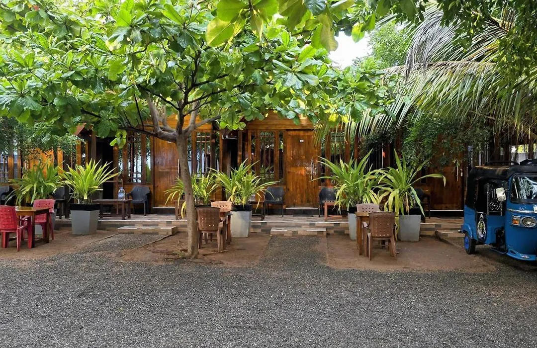 Elvis Beach Resort-1
