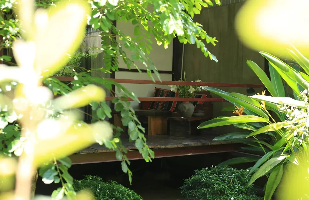 Cat Homestay-1