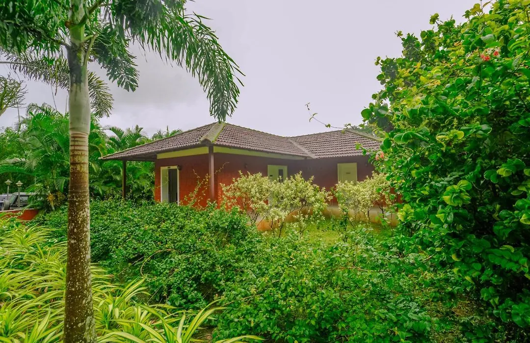 Clover Holiday Village Coorg Resort By Voye Homes-1