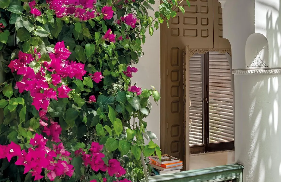 Riad Jaaneman-1