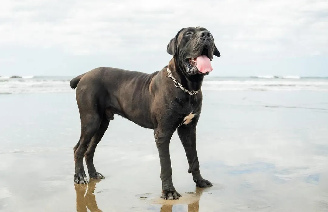 Jakes On The Beach-1