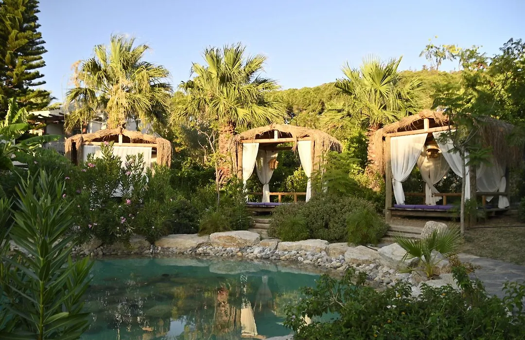 Kairos Valley Wellness & Longevity-1