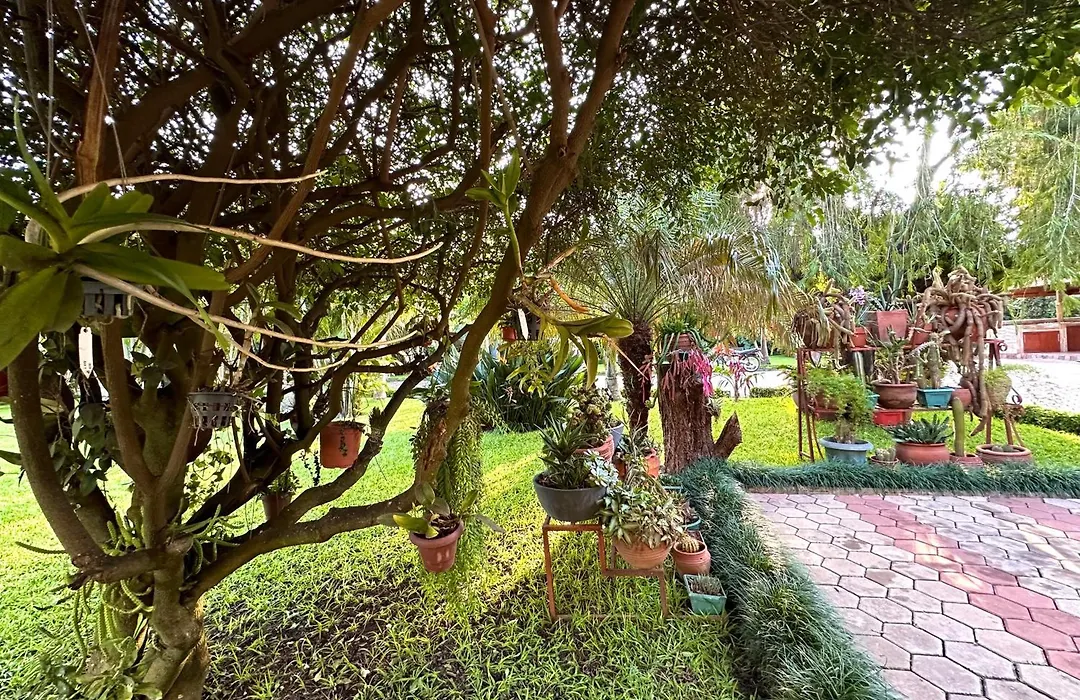 Garden Escape-1