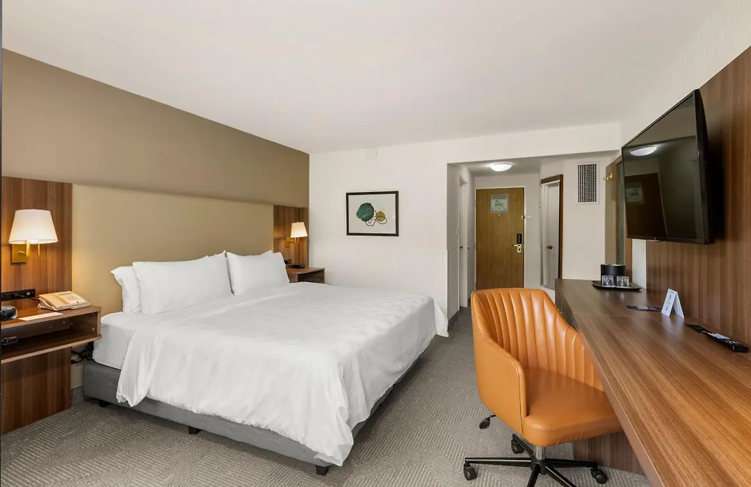 Holiday Inn San Jose La Sabana By Ihg-1