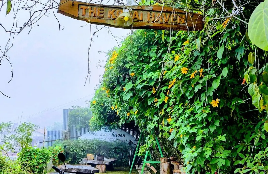 The Kodai Heaven-1