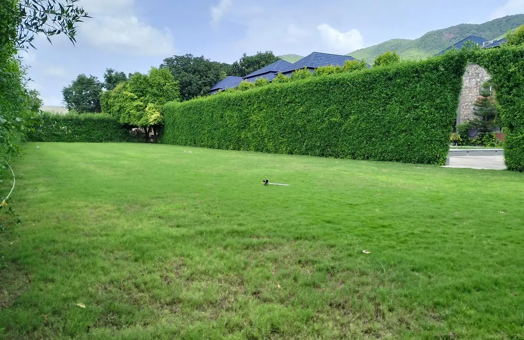 Nature Retreat Resorts- Life In Nature-1