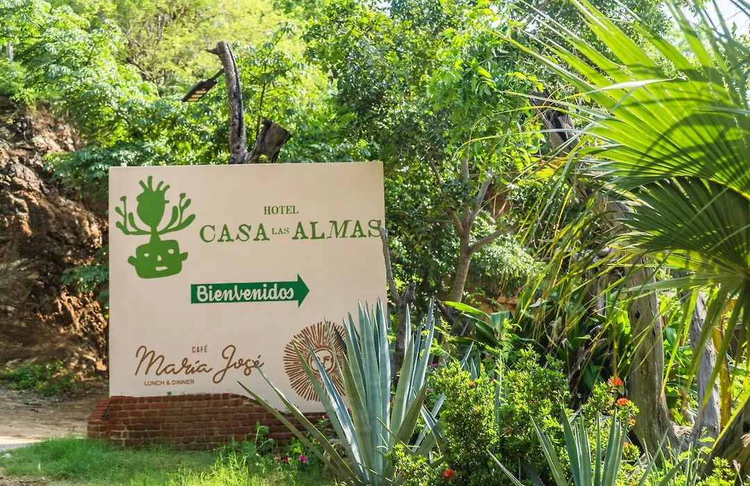 Casa Las Almas-1