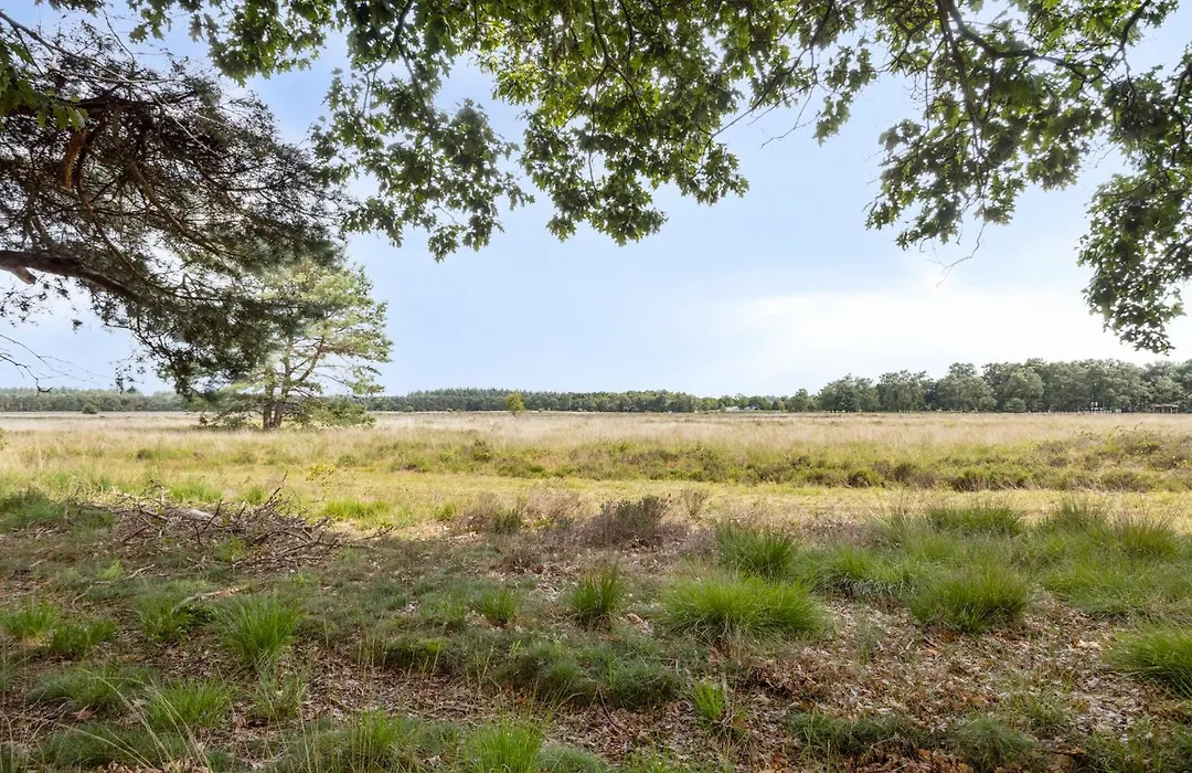 Landgoed Stakenberg - Hotel&Bungalows-1