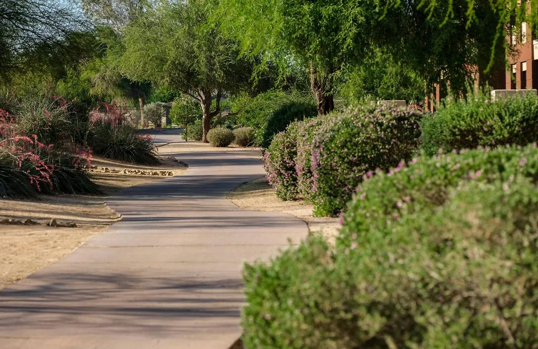 The Westin Kierland Villas, Scottsdale-1