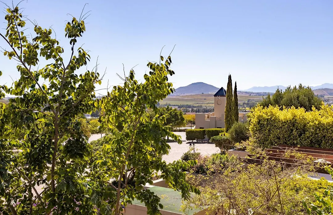 Devonvale Golf & Wine Estate-1