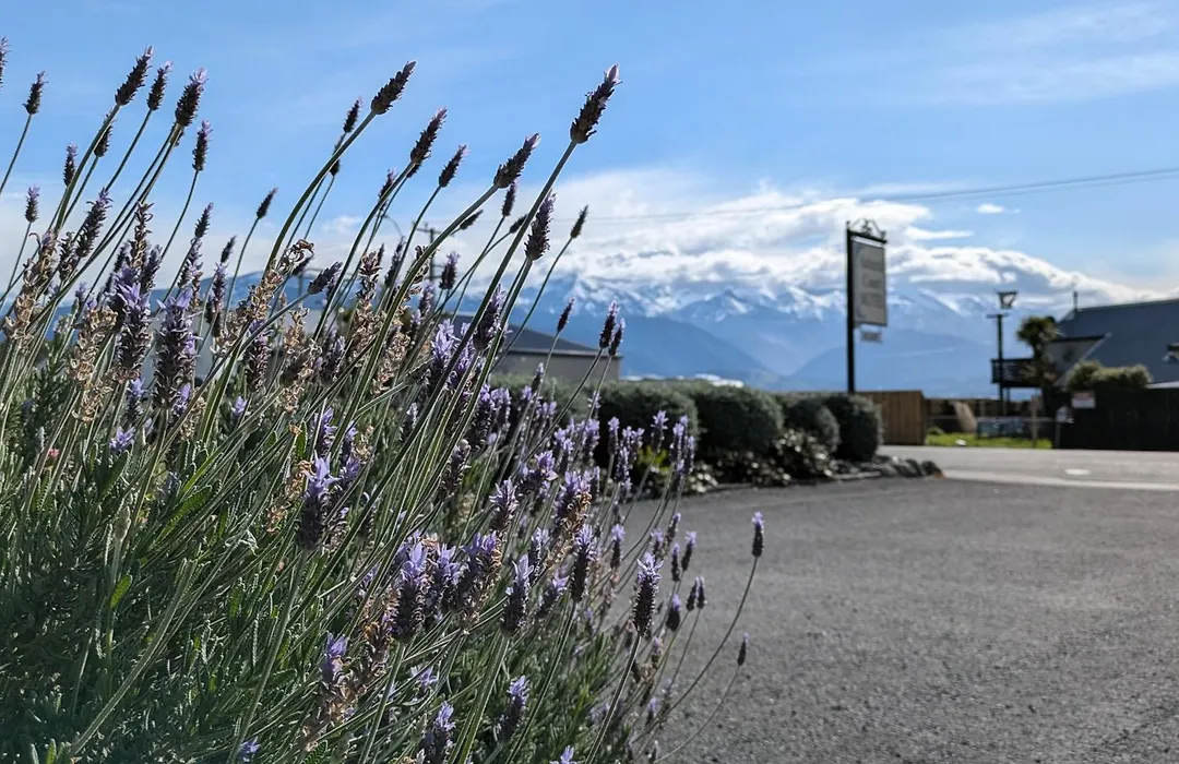 The Peninsula Kaikoura-1