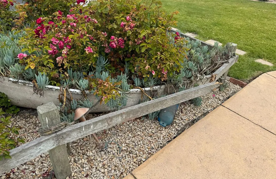Captain'S Inn At Moss Landing-1