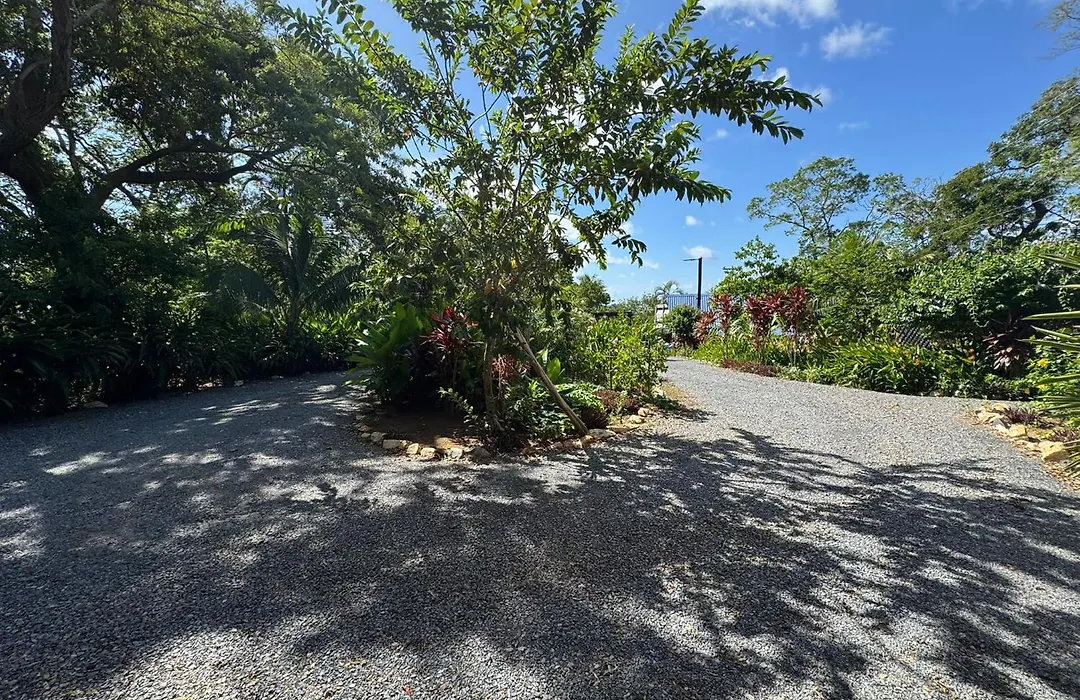 Guava Grove Resort & Villas-1