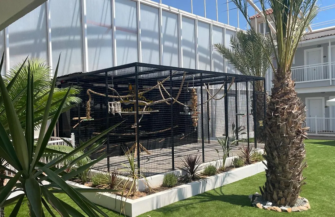 Hotel Algorfa-1