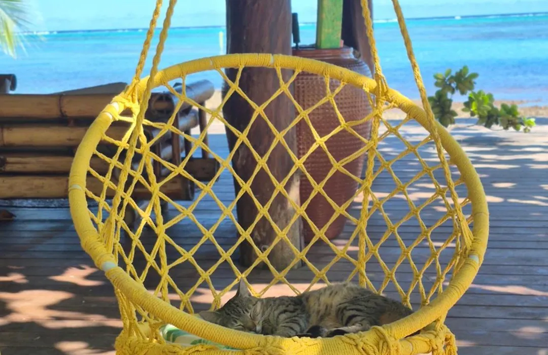 Fare Tokoau Moorea-1
