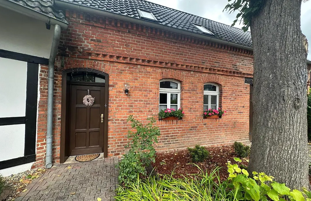 Hotel Luther Birke Wittenberg-1