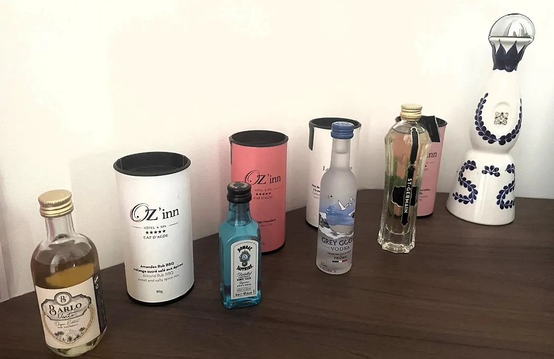 Oz'Inn Hôtel&Spa-1