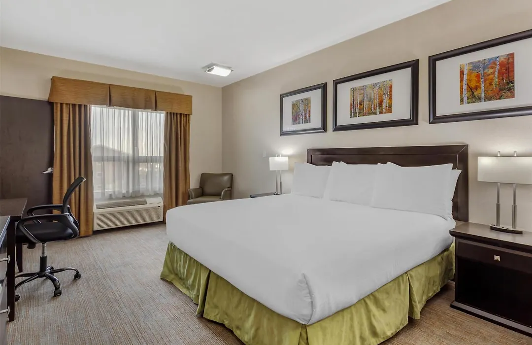 Best Western Wainwright Inn & Suites-1