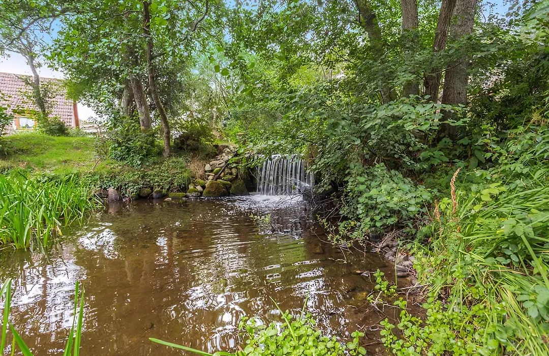 Delny Highland Lodges-1