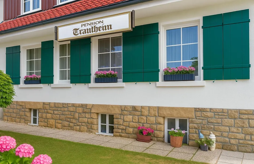 Pension Trautheim-1