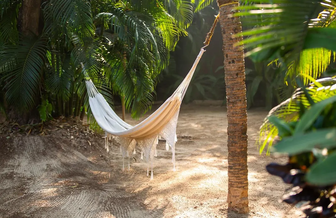 Palm Forest Palolem-1