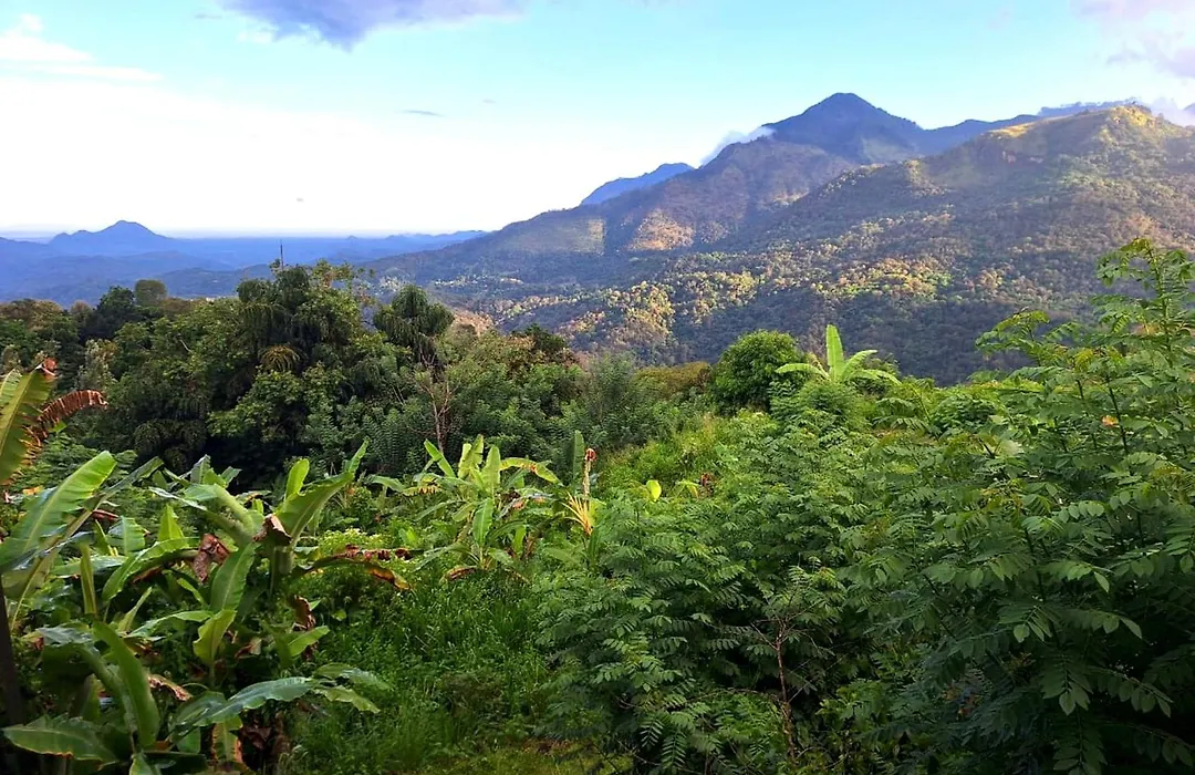 Shambala Retreat - Private Villa With Ravana Falls View-1