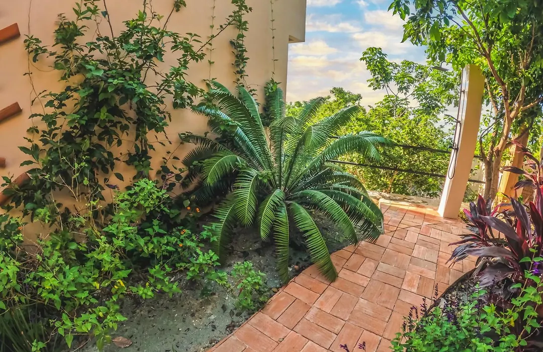 Casa Las Almas-1