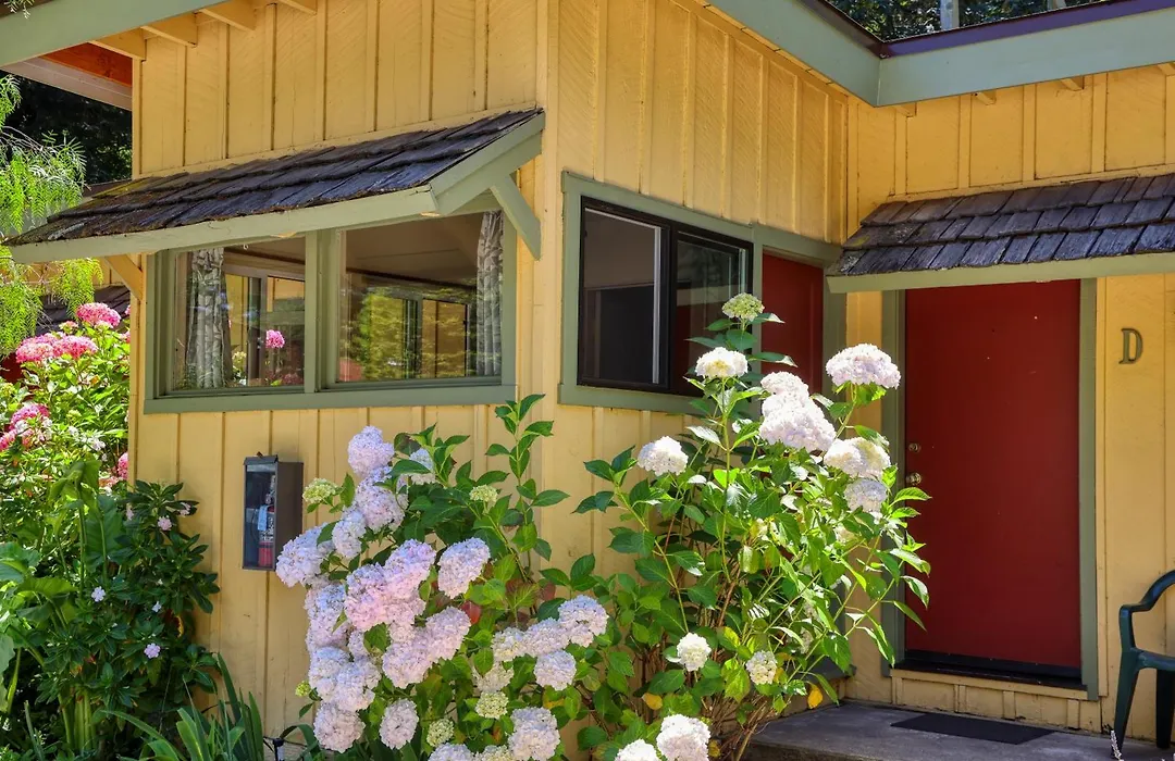 Fernwood Resort-1