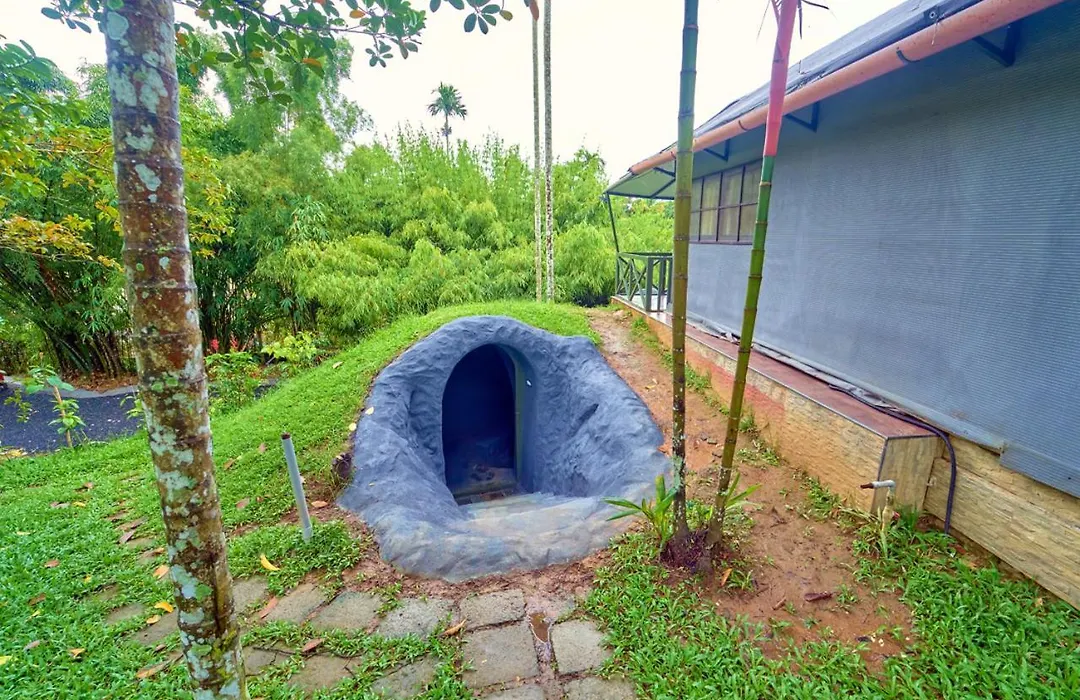 Kedara Resort Wayanad Pet Friendly With Pool-1