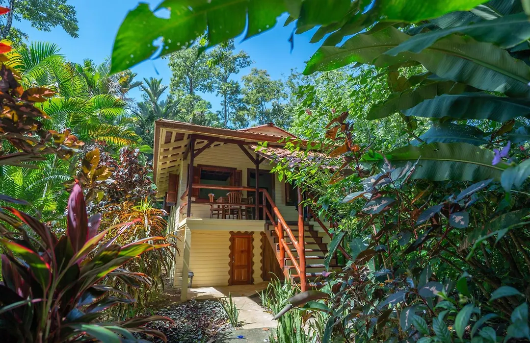 Bluff Beach Retreat-1