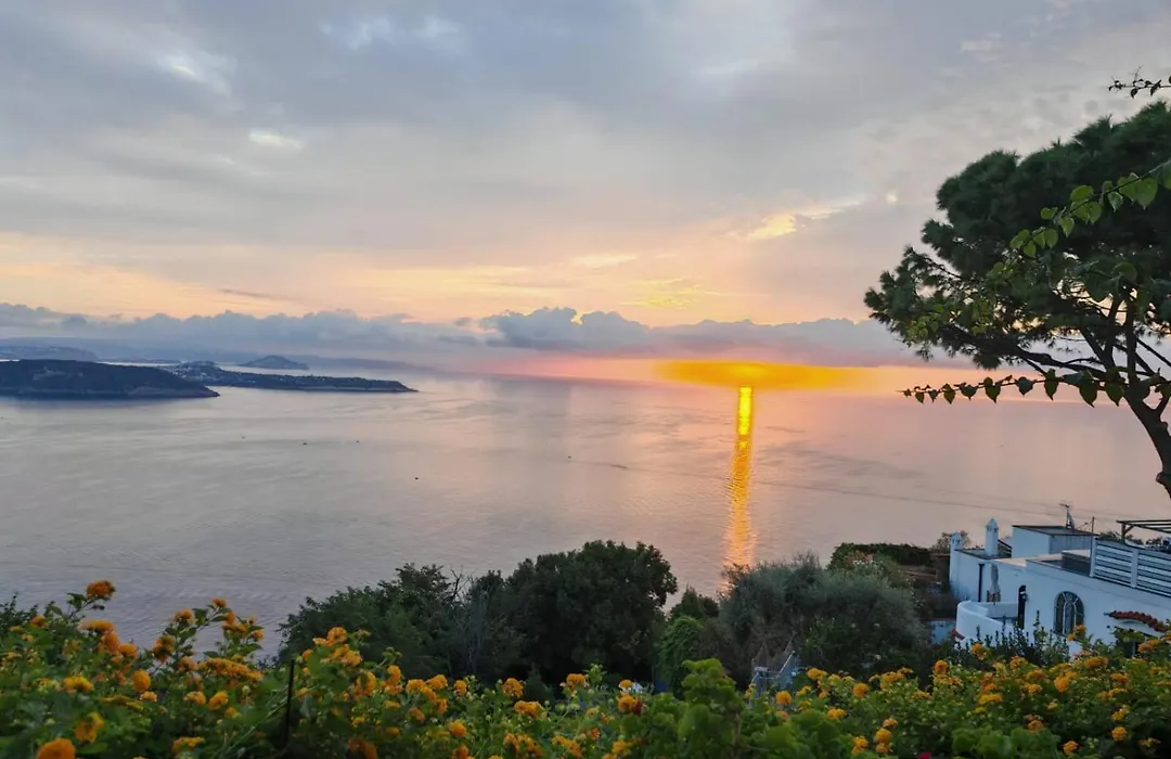 La Pergola Del Torchio-1