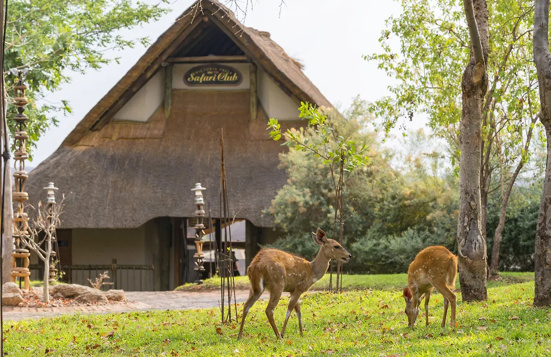 Victoria Falls Safari Club-1