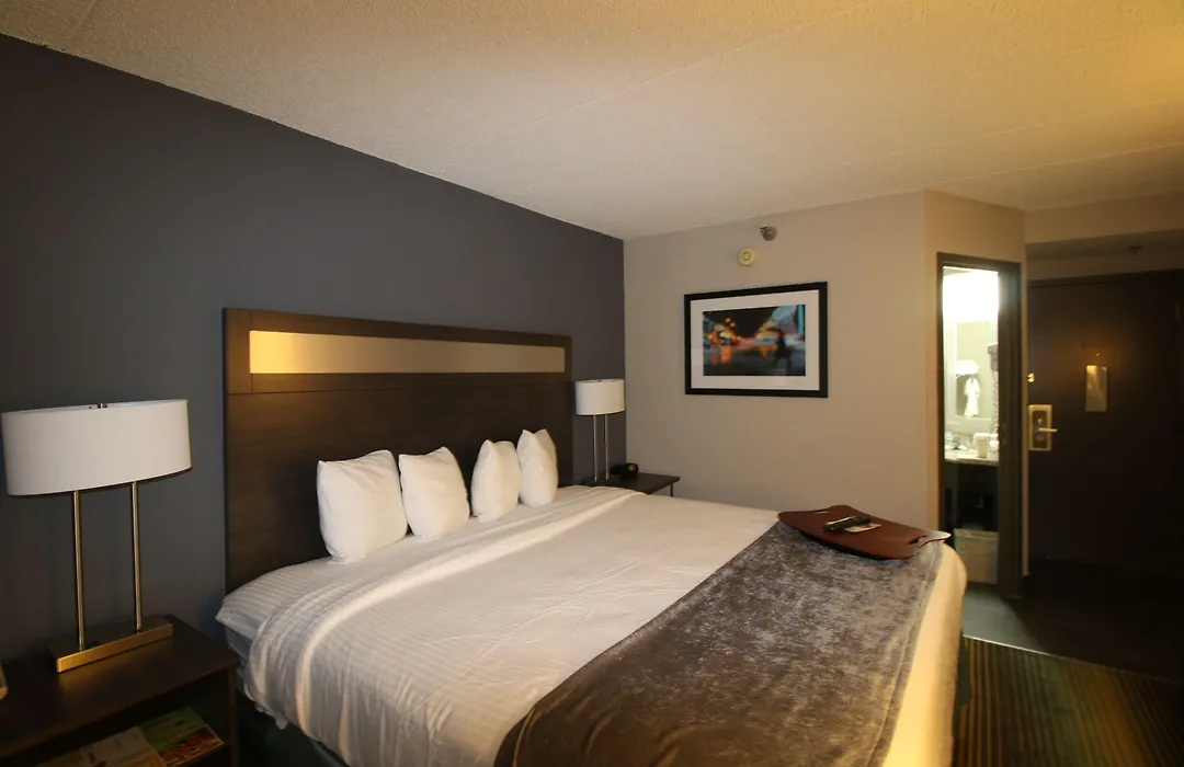 Best Western O'Hare/Elk Grove Hotel-1