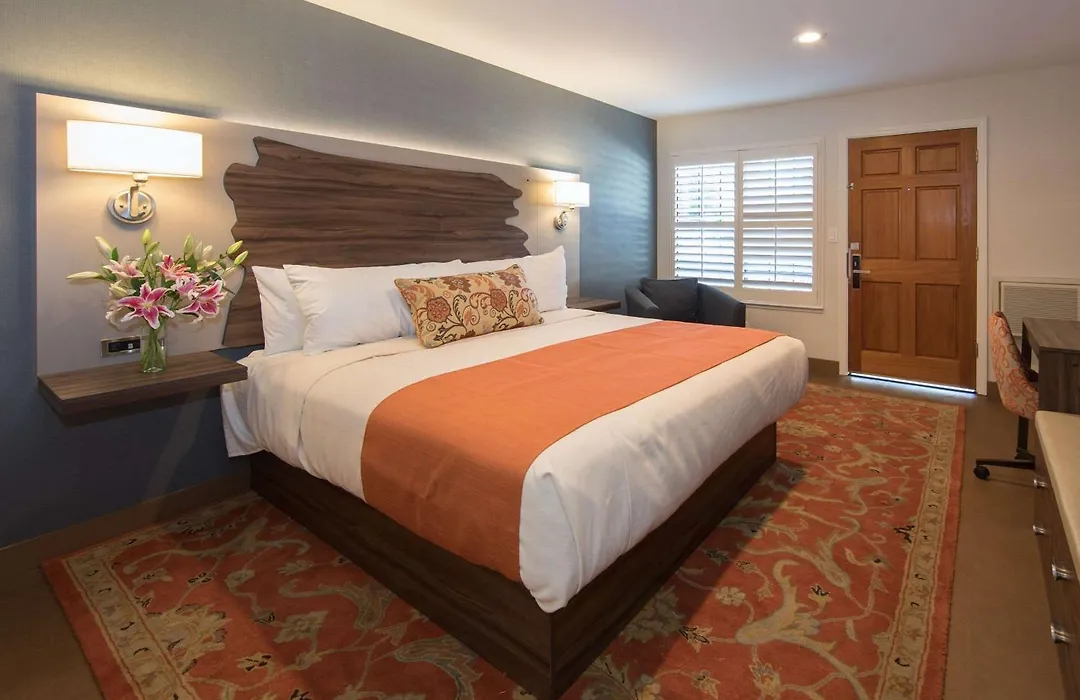 The Vine Inn Davis-1