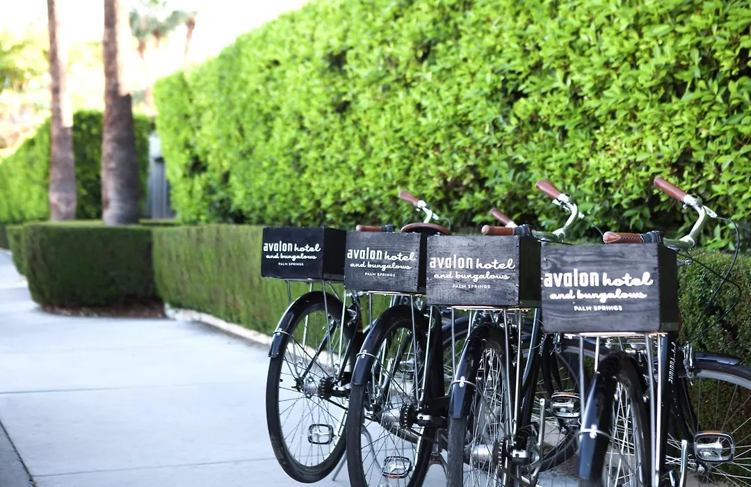Avalon Hotel & Bungalows Palm Springs, A Member Of Design Hotels-1